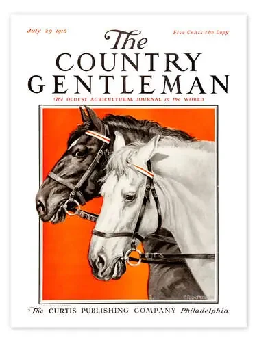 Country Gentleman (horses) de Remsberg Design Pics