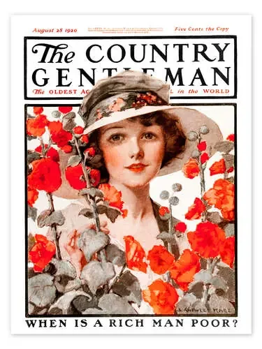 Cover of Country Gentleman de Remsberg Design Pics