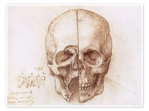Cráneo de Leonardo da Vinci Master Collection