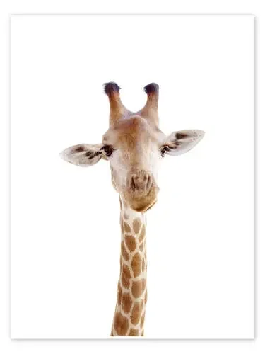 Curious Giraffe de Animal Kids Collection Editors Choice
