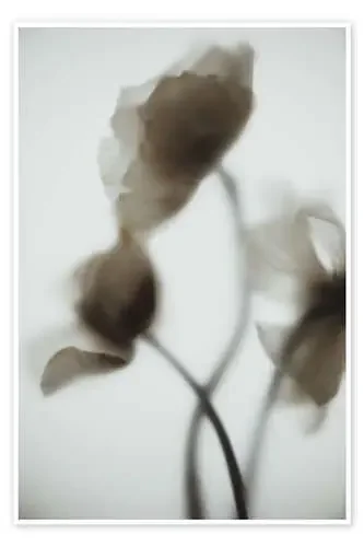 Dancing Poppies de Magda Izzard