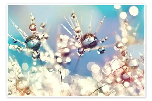Dandelion with Rainbowdrops de Julia Delgado