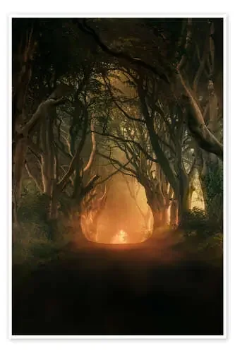 Dark Hedges in the morning sunlight de Jaroslaw Blaminsky