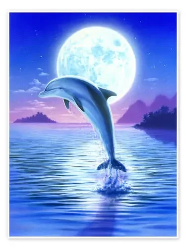 Day of the dolphin – midnight de Robin Koni MGL Licensing