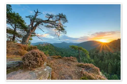 Days beginning in the Palatinate Forest de Michael Valjak