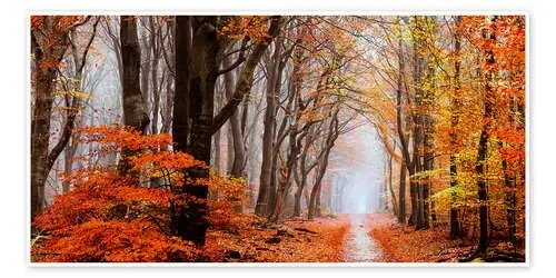 Deep in Neldoreth de tvurk photography