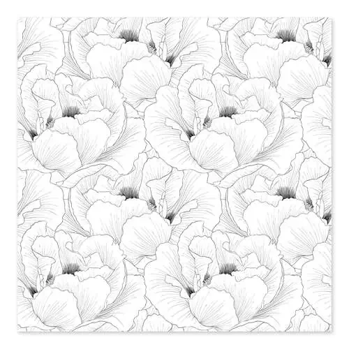 Delicadas flores de amapola Editors Choice