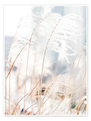 Delicadas hierbas al viento Editors Choice