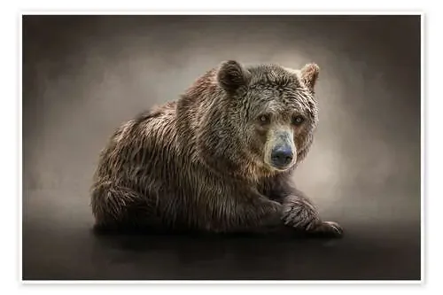 Der Bär de Werner Dreblow