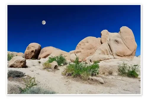 Desert Moon de Denis Feiner