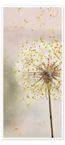 Diente de león de Andrea Haase Foto