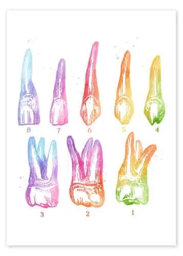 Dientes arcoiris de Mod Pop Deco