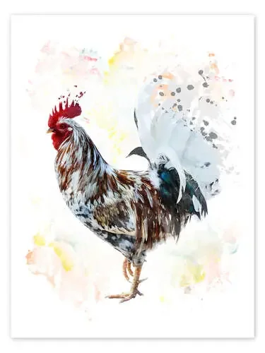 Digital Painting of a Colourful Rooster Editors Choice