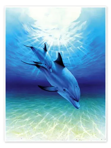 Diving through sunbeams de Robin Koni MGL Licensing