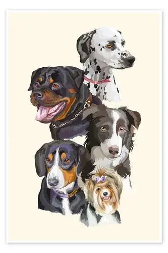 Dog breeds Editors Choice