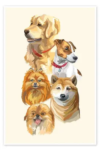 Dog breeds Editors Choice