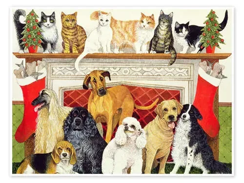 Dogs and Cats de Pat Scott Bridgeman Images