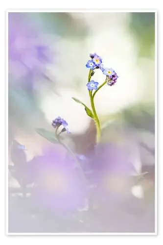 Don‘t forget me de Bob Daalder