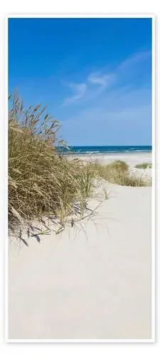 Dune by the sea IV Editors Choice