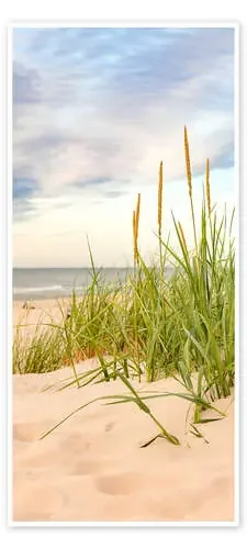 Dune with Beach Grass Editors Choice