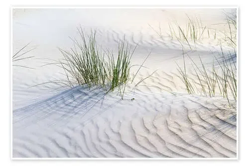 Dunegrasses in the sand de Jürgen Klust
