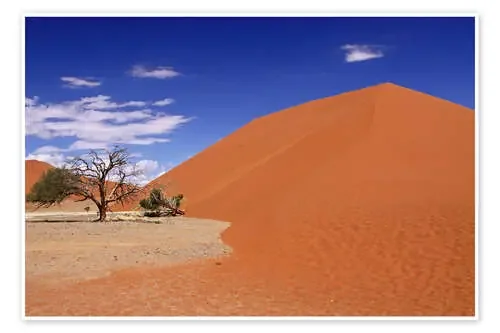 Dunes of the Namib, Namibia de wiw
