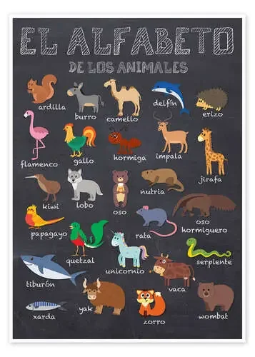 El Alfabeto de los Animales de Kidz Collection Editors Choice