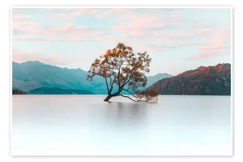 El árbol de Wanaka de Nicky Price Robert Harding