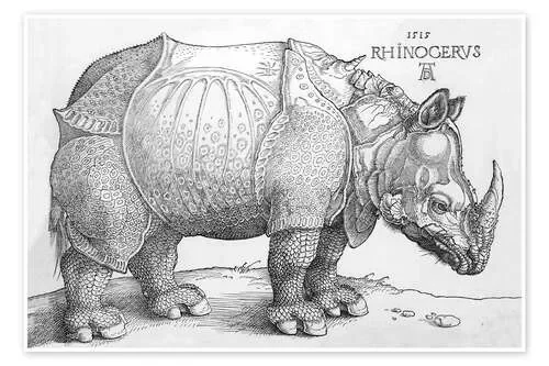 El Rinoceronte, 1515 de Albrecht Dürer Bridgeman Images