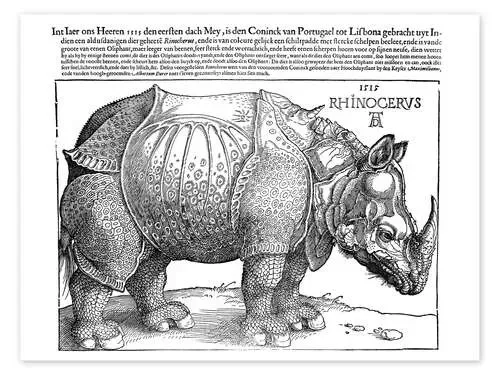 El Rinoceronte (holandés) de Albrecht Dürer Master Collection
