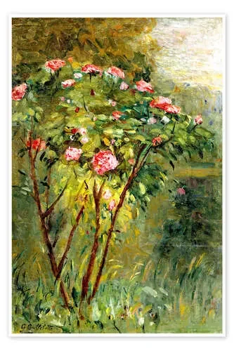 El rosal de Gustave Caillebotte akg-images