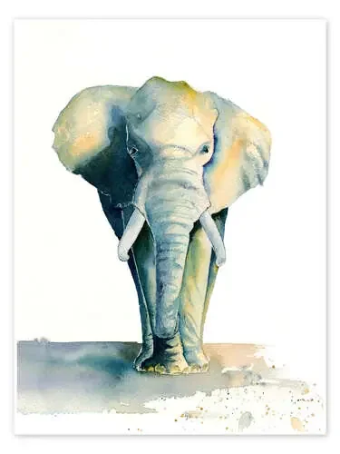 Elephant de Jitka Krause