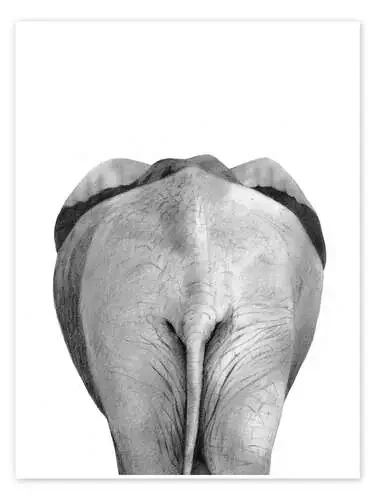 Elephant from behind de Victoria Borges World Art Group
