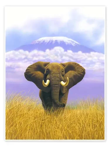 Elephant in front of Kilimanjaro de Chris Hiett MGL Licensing