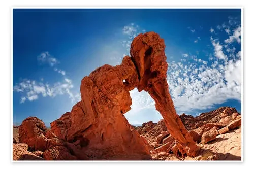 Elephant Rock de Michael Rucker