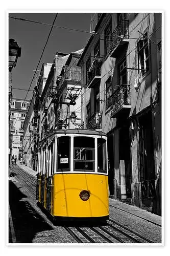 Elevador de Bica de Felix Pergande