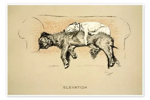 Elevation de Cecil Charles Windsor Aldin Bridgeman Images