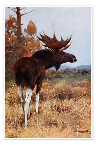 Elk or Moose de Wilhelm Kuhnert Master Collection