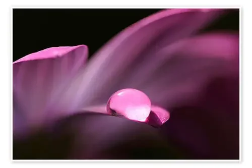 Energetic de Dirk Driesen