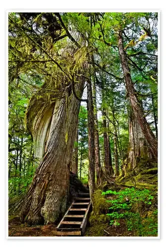 Escaleras en el árbol de Sunny Awazuhara-Reed Design Pics