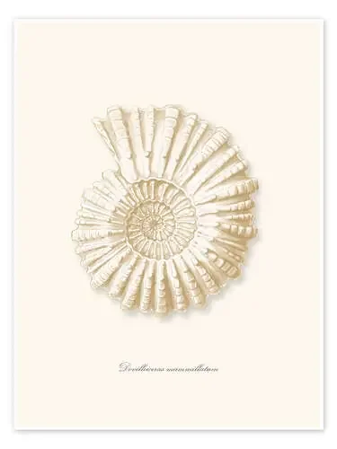 Espiral amonita de Patruschka