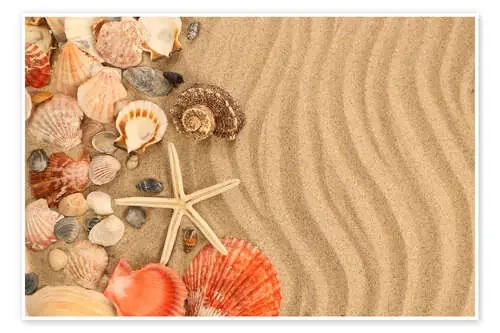 Estrella de mar y conchas sobre la arena Editors Choice