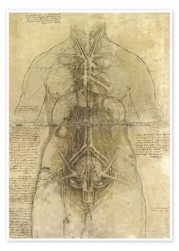 Estudio de anatomía de Leonardo da Vinci Master Collection