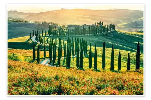 Evening Light Over Podere Baccoleno, Tuscany de Nadia Isakova Robert Harding