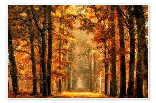 Exit the Portal de Lars van de 1x
