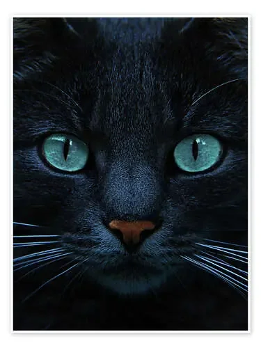 eyes of blue de Joachim G. Pinkawa