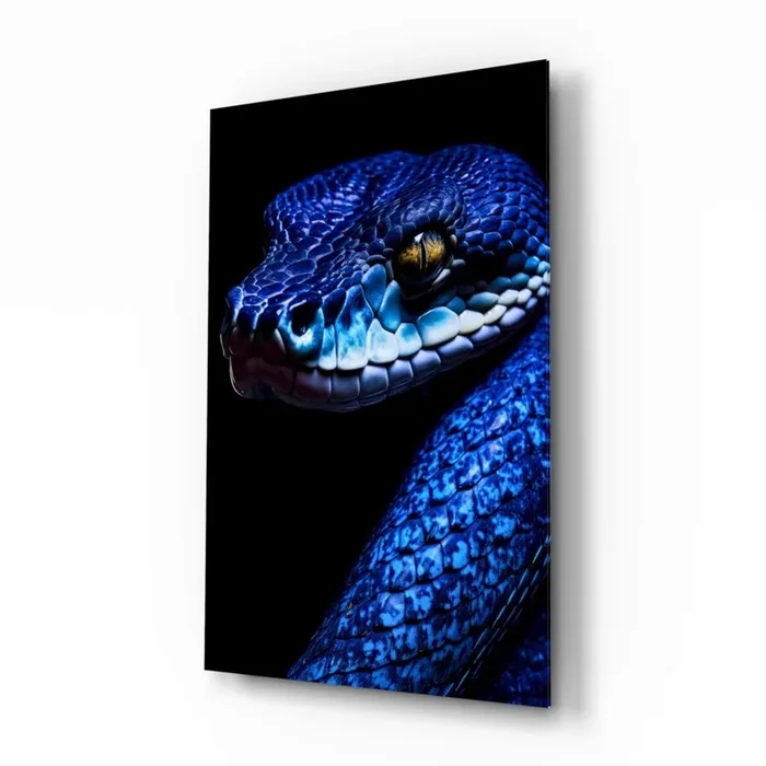 Eyes of the Blue Viper Glass Wall Art Designer Collection – 28.5 » X 18 «