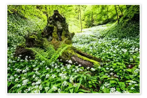 Fairy Forest with wild garlic de Dieter Meyrl
