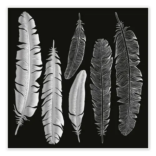 Feathers in silver Editors Choice