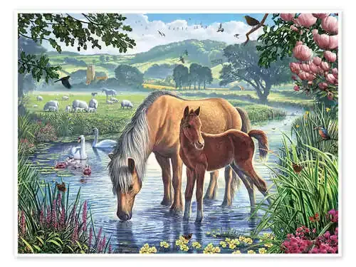 Fell ponies de Steve Crisp MGL Licensing